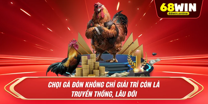 Chọi gà đòn không chỉ giải trí còn là truyền thống, lâu đời